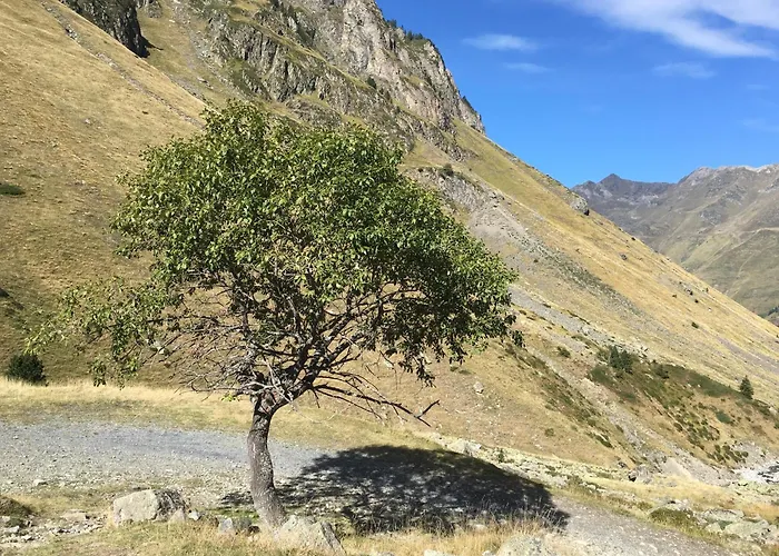 Du Bastan 度假居 *